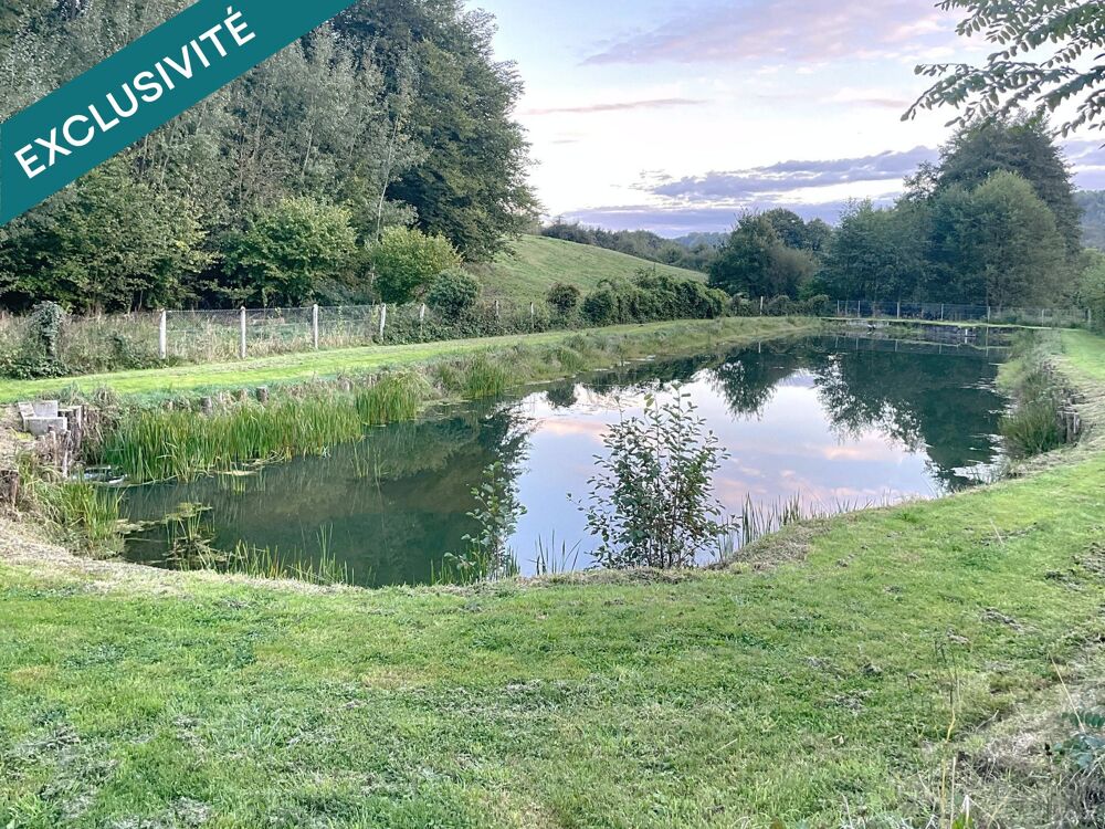 Vente Terrain Etang de 1000 m2 sur un terrain de 2740 m2 Chagny