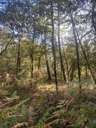  Terrain � vendre 2890 m�