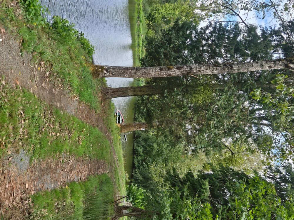 Vente Terrain Beaucoup d'espace Pre-en-pail-saint-samson