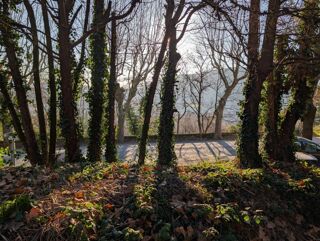  Terrain à vendre 3956 m²