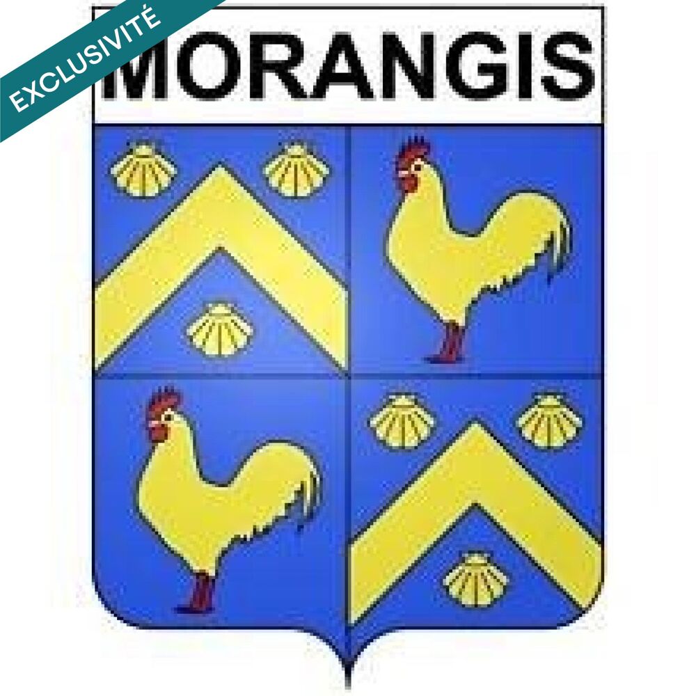 Vente Maison Idéal 1er achat ou investisseur Morangis