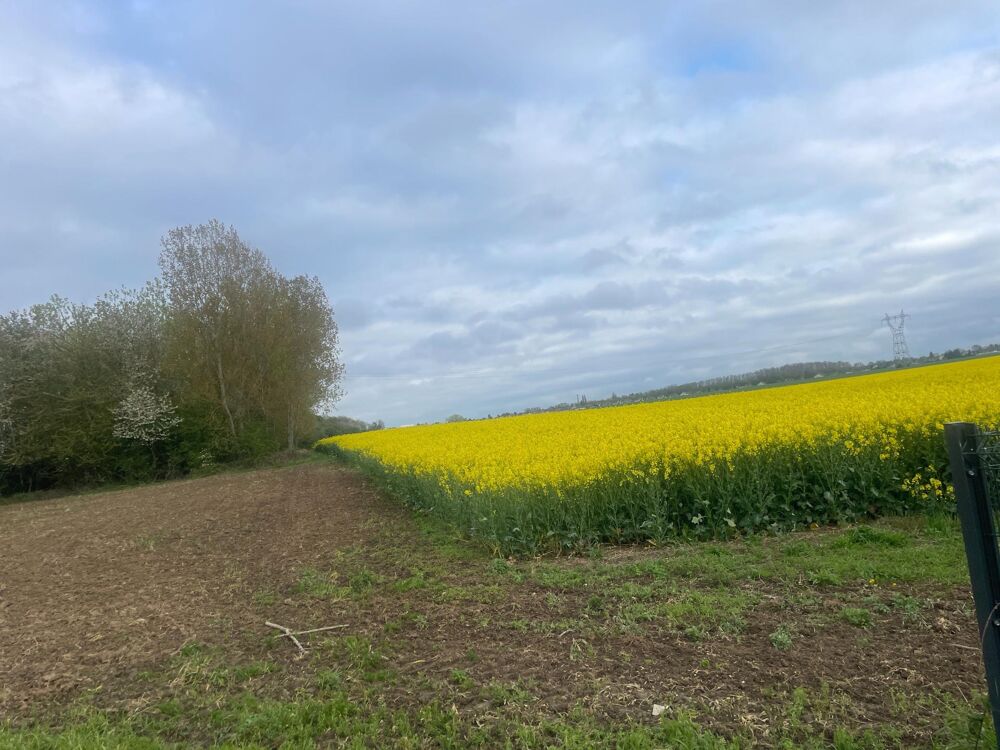 Vente Terrain TERRAIN LIBRE DE CONSTRUCTEUR SECTEUR RESIDENTIEL Billy-montigny