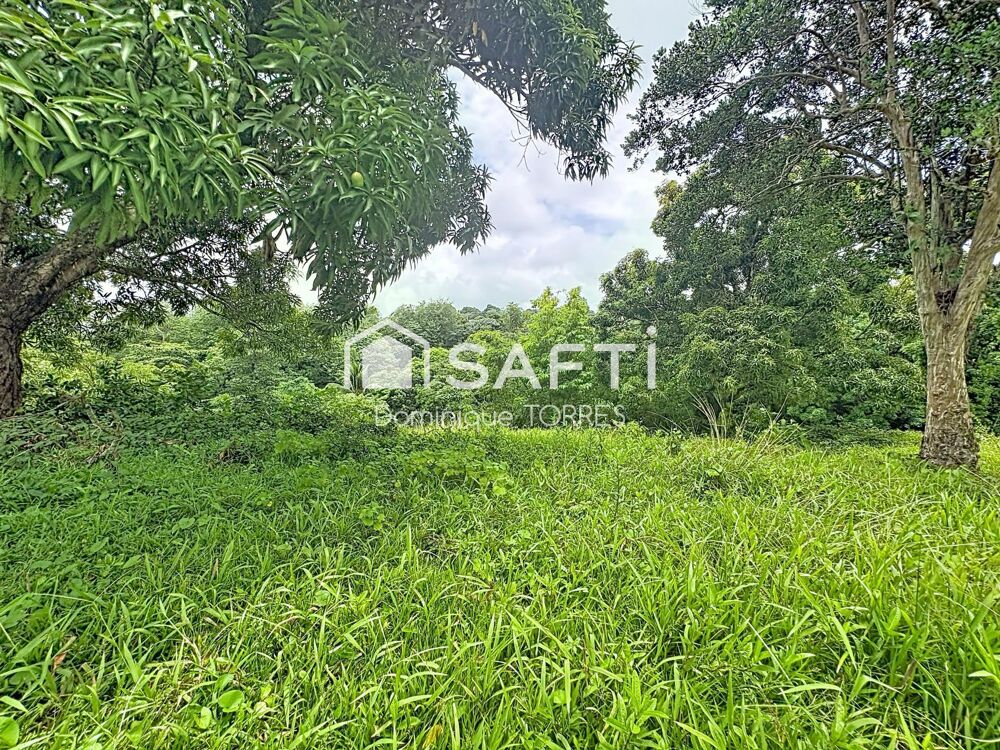 Vente Terrain LE ROBERT – TERRAIN À BÂTIR 2 555 M² – 797 M² CONSTRUCTIBLES Le robert