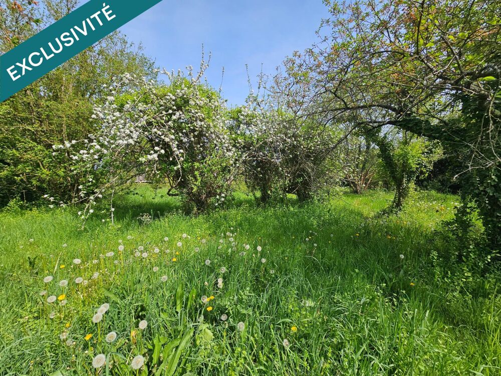Vente Terrain Terrain plat , Environnement calme, Proche commerces Chasseneuil