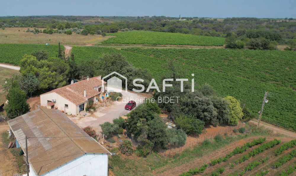 MAISON DE PLAIN PIED ENTOUREE DE VIGNE