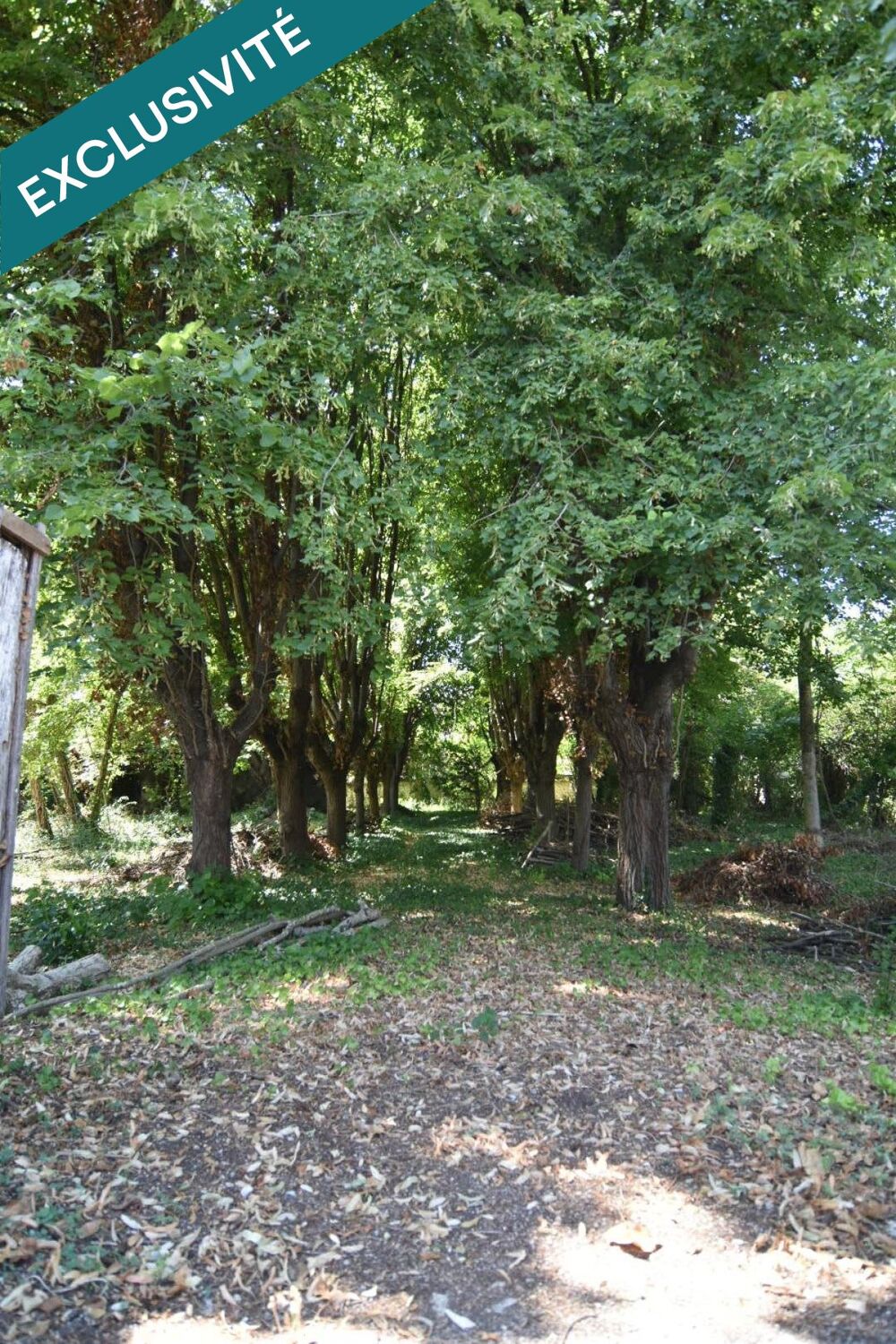Vente Terrain Un écrin de verdure à bâtir au cœur de Joigny Joigny