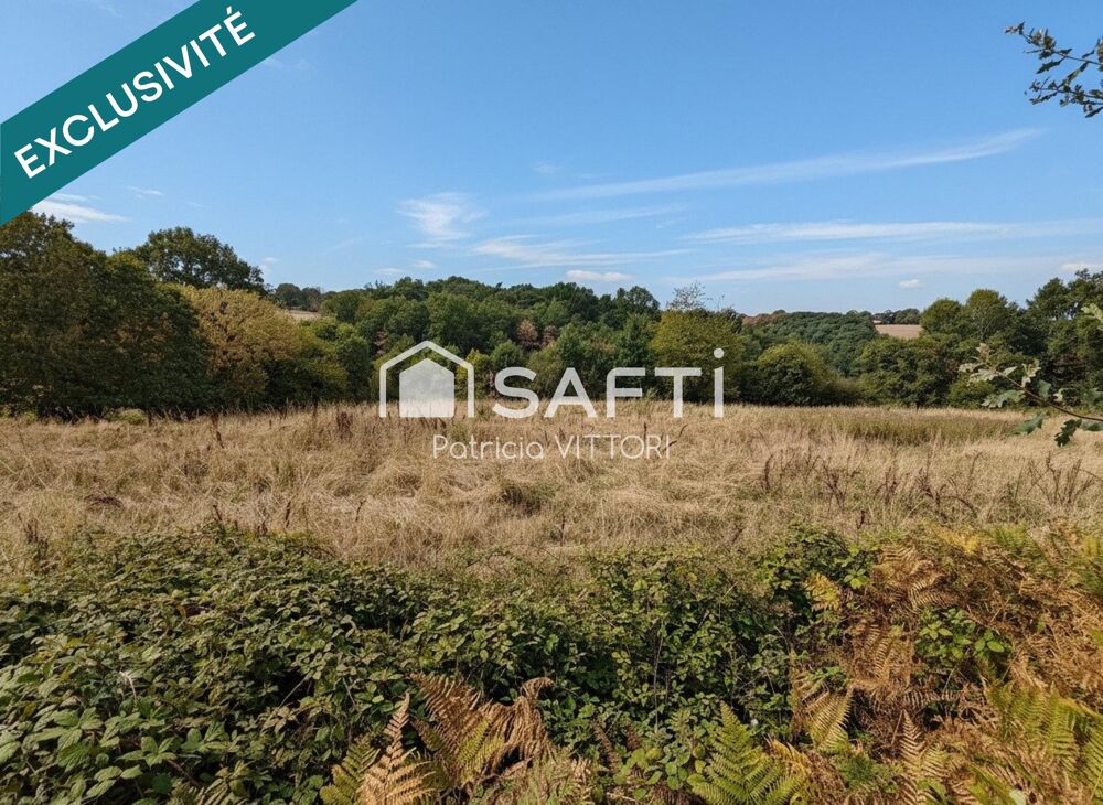 Vente Terrain Terrain agricole libre, actuellement en prairie, 5 390 m², Chailland Chailland