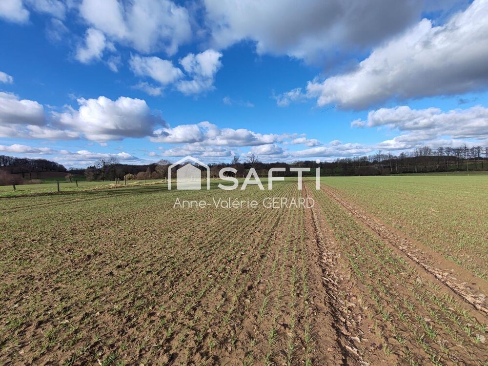 Vente Terrain 12 hectares de terres agricoles Fougerolles-du-plessis