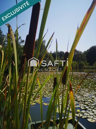  Terrain à vendre 9262 m²