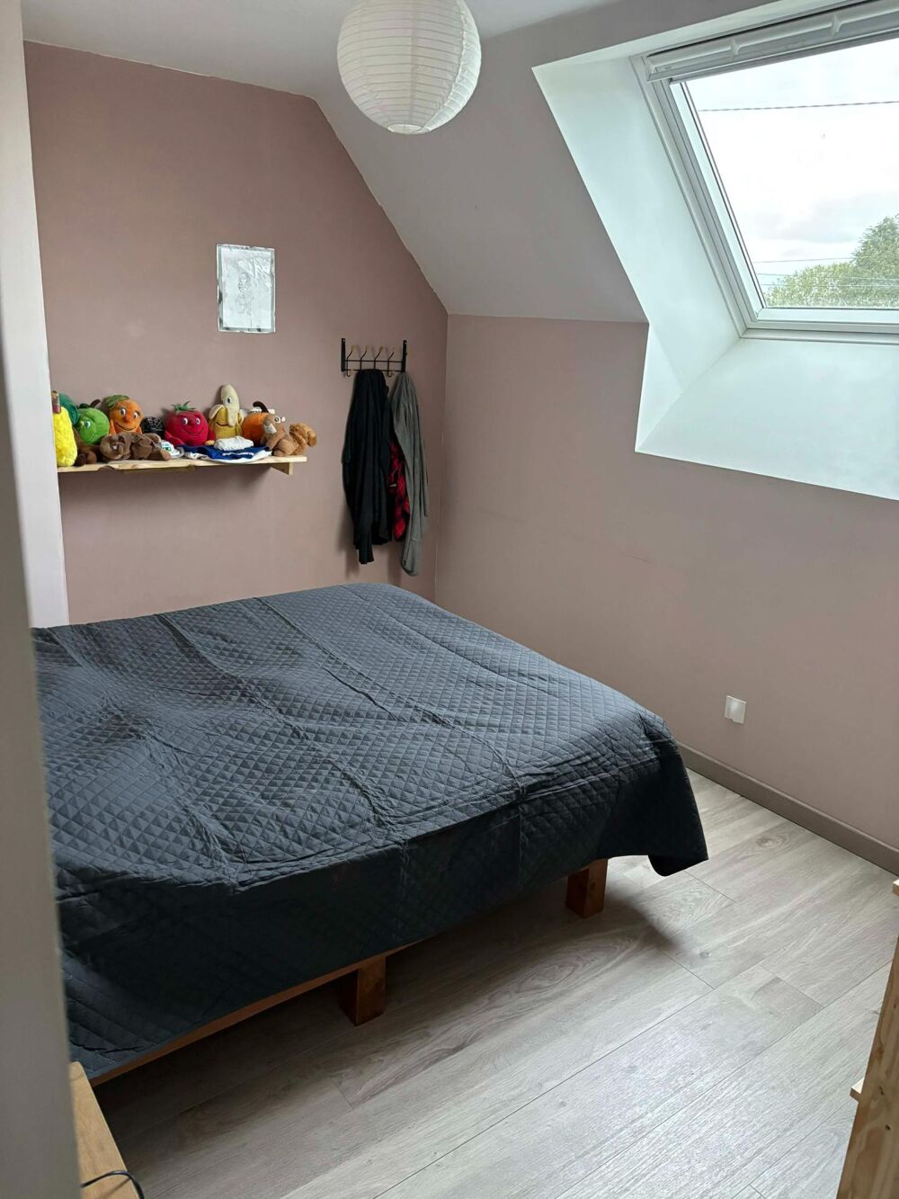 Maison rénovée avec gîte.