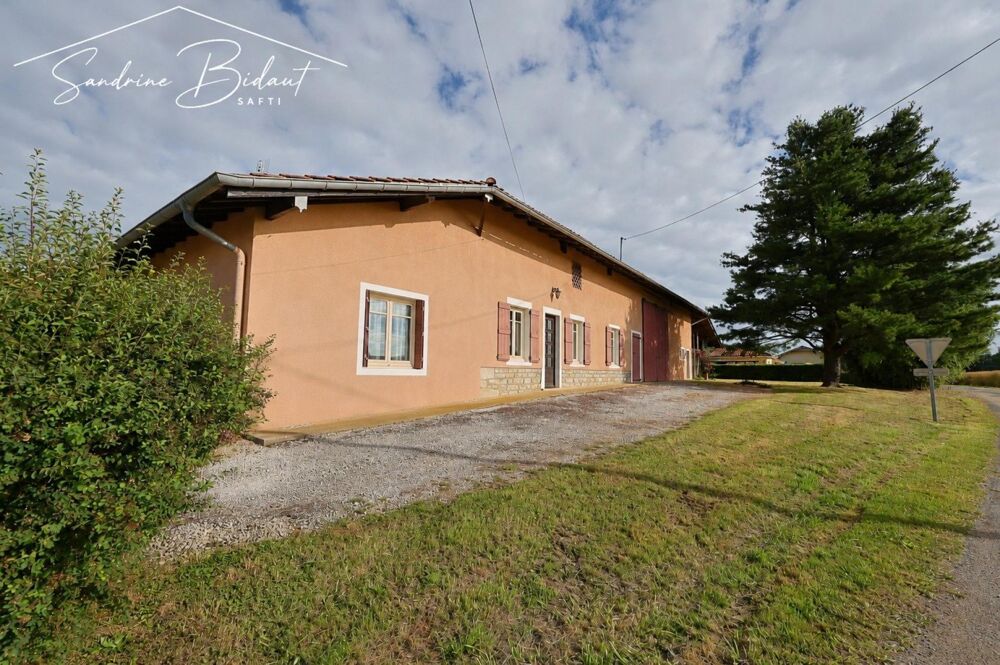 Vente Maison Ferme à rénover 15 763 m² et grandes dépendances Saint-julien-sur-reyssouze