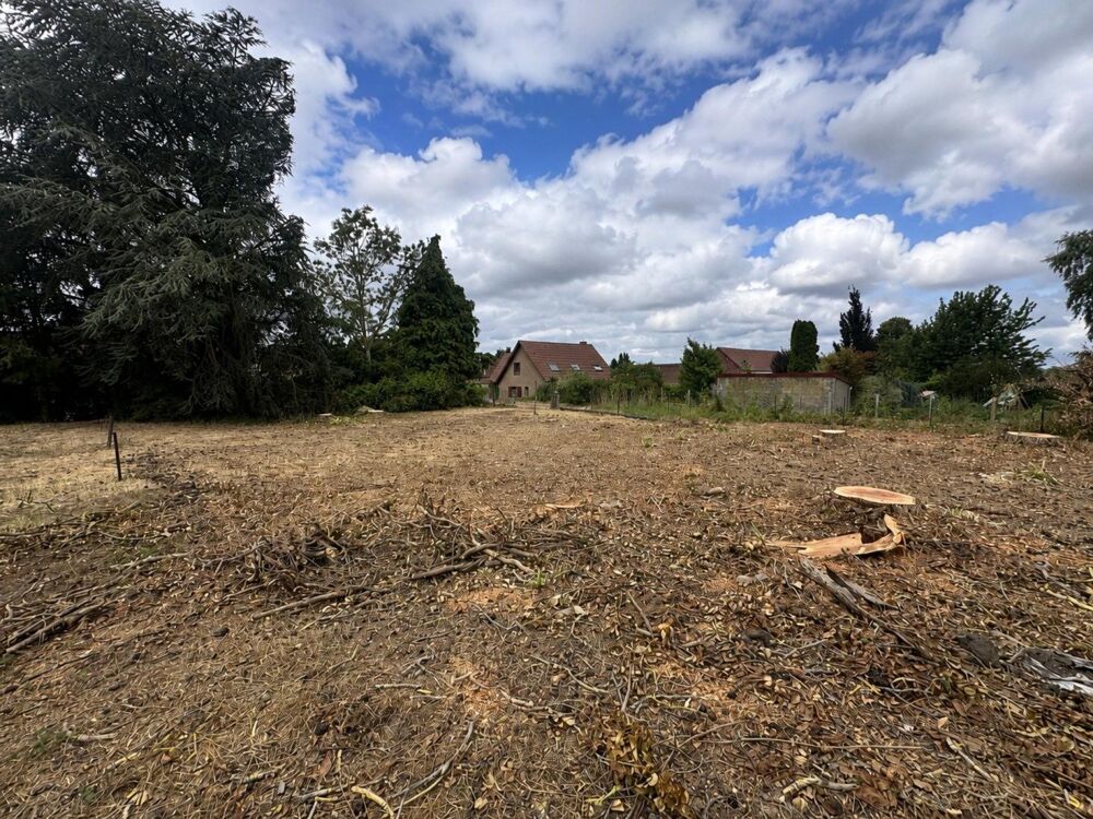 Vente Terrain TERRAIN A BATIR LIBRE DE CONSTRUCTEUR Arleux-en-gohelle