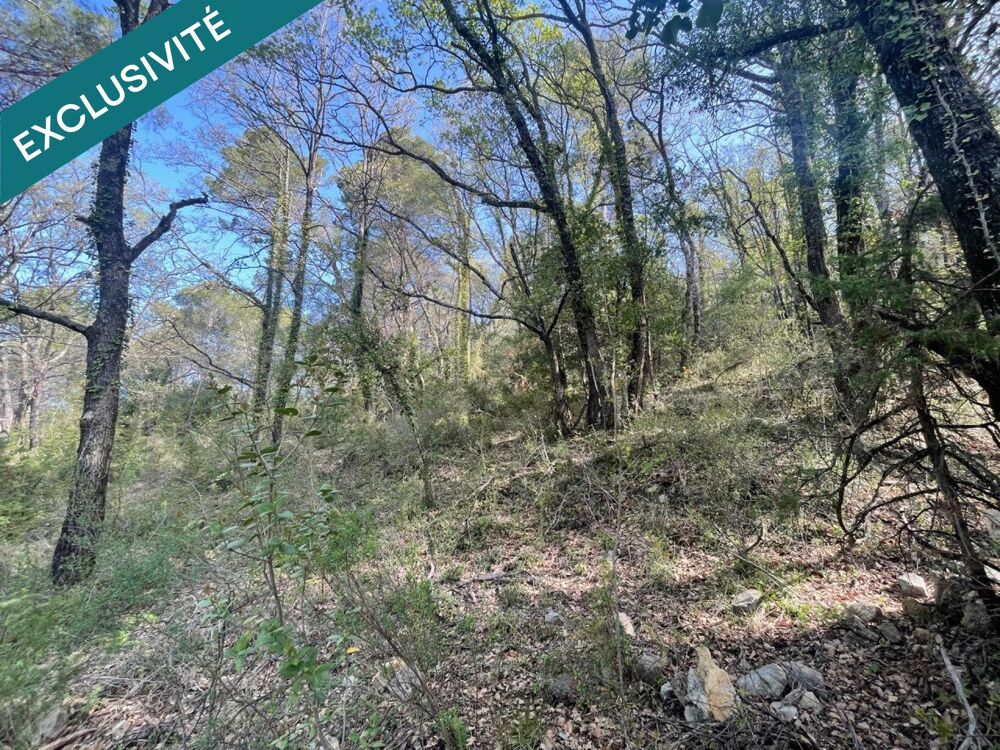 Vente Terrain terrain en zone boisé Chateaudouble