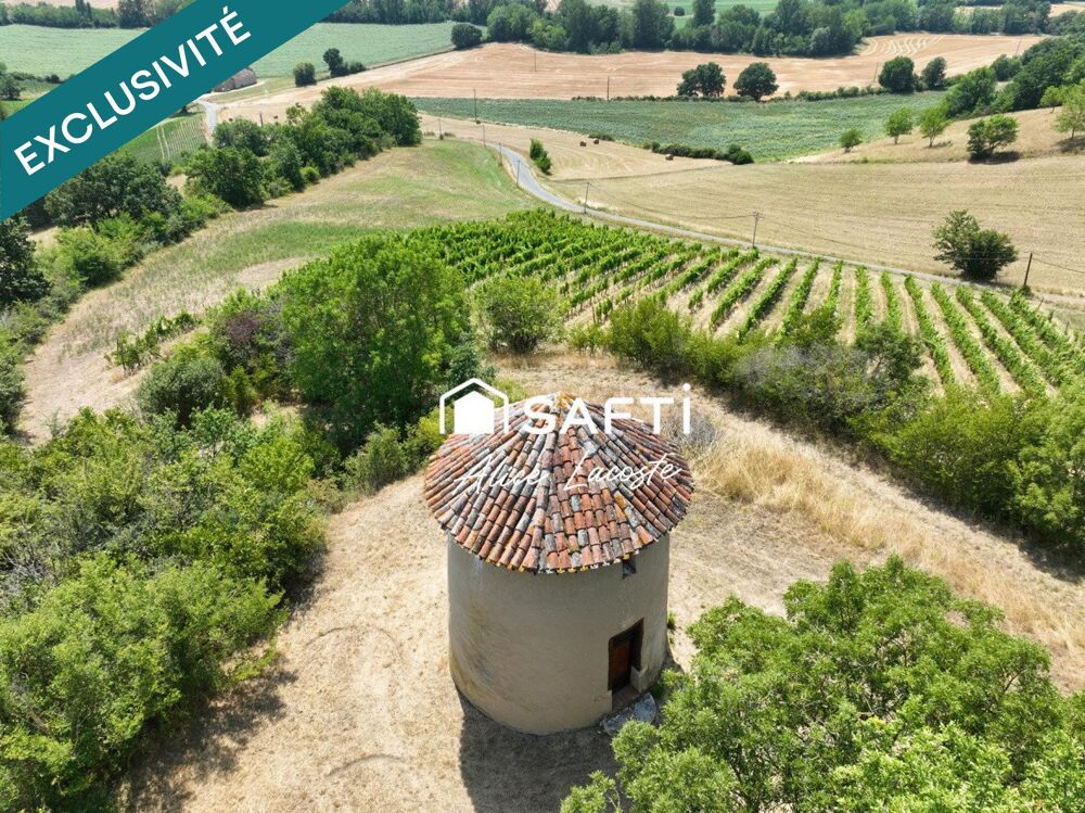 Moulin, vignes et vue Pyrénées à 360°
