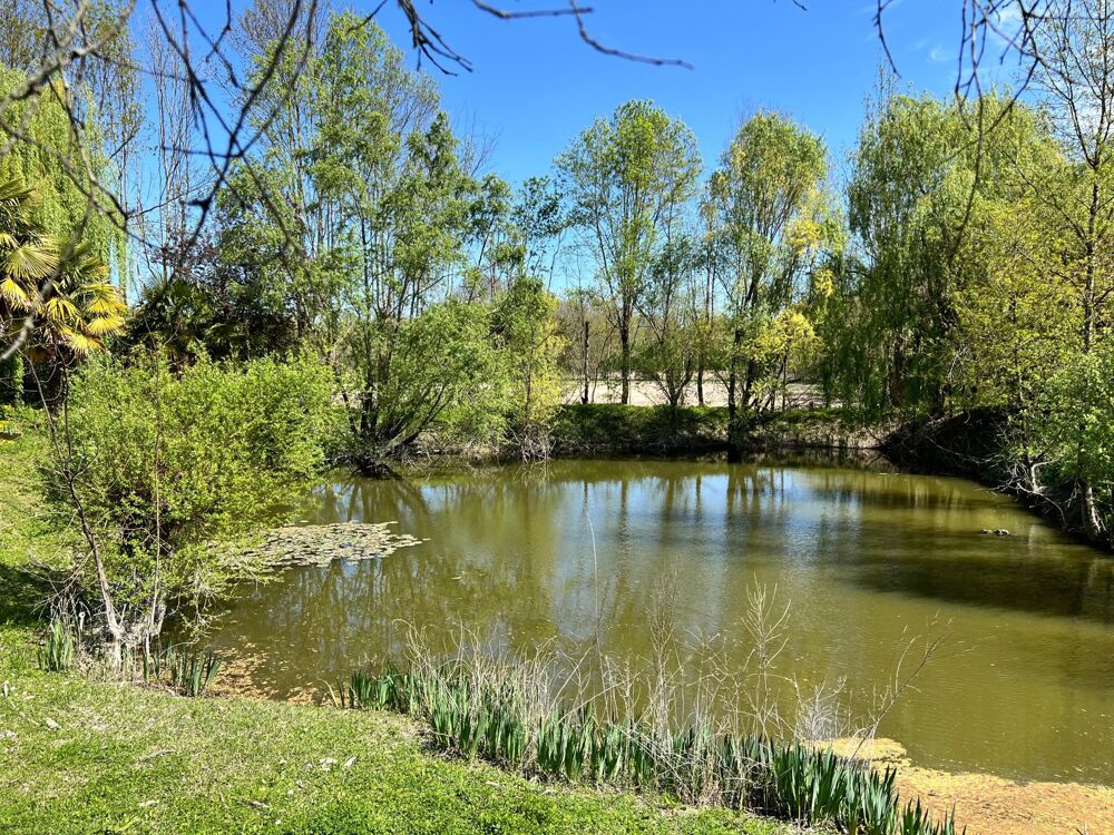 Vente Maison Très belle propriété d'environ 246 m2 à Chaniers. Chaniers