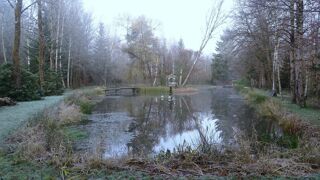  Maison � vendre 15 + pi�ces 382 m�