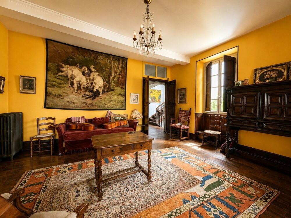à vendre  Hôtel Particulier Oloron-Sainte-Marie (64400)