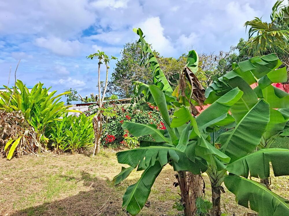 Location Maison Sainte Anne - Spacieux T4 avec jardin Sainte-anne