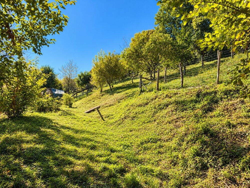 Vente Maison Mon coup de cœur pour havre de paix Sare