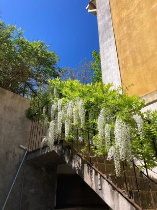  Maison � vendre 8 pi�ces 290 m�