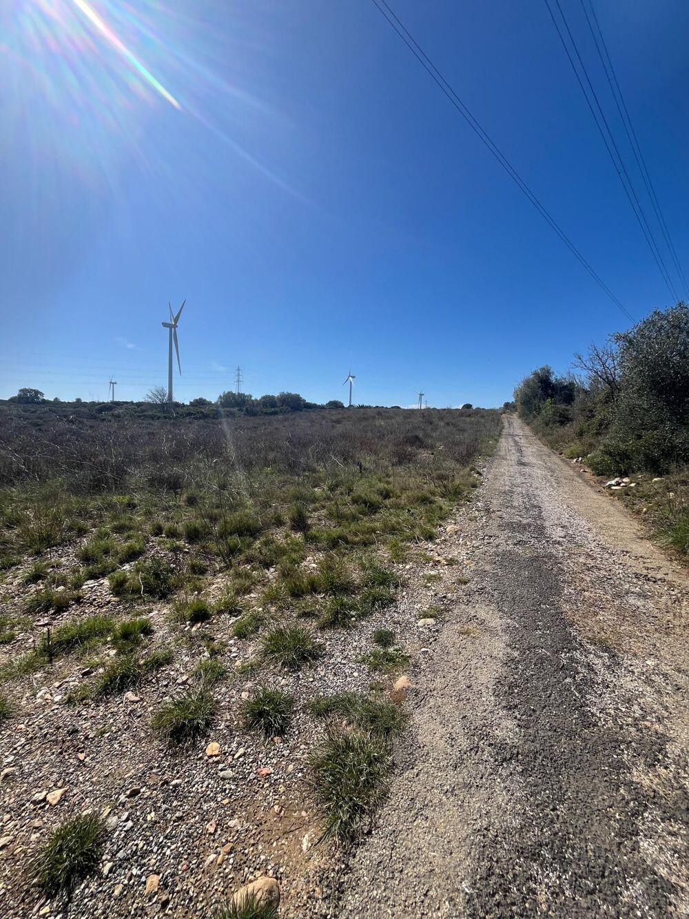 Vente Terrain Terrain agricole plat de 1 hectare Baixas