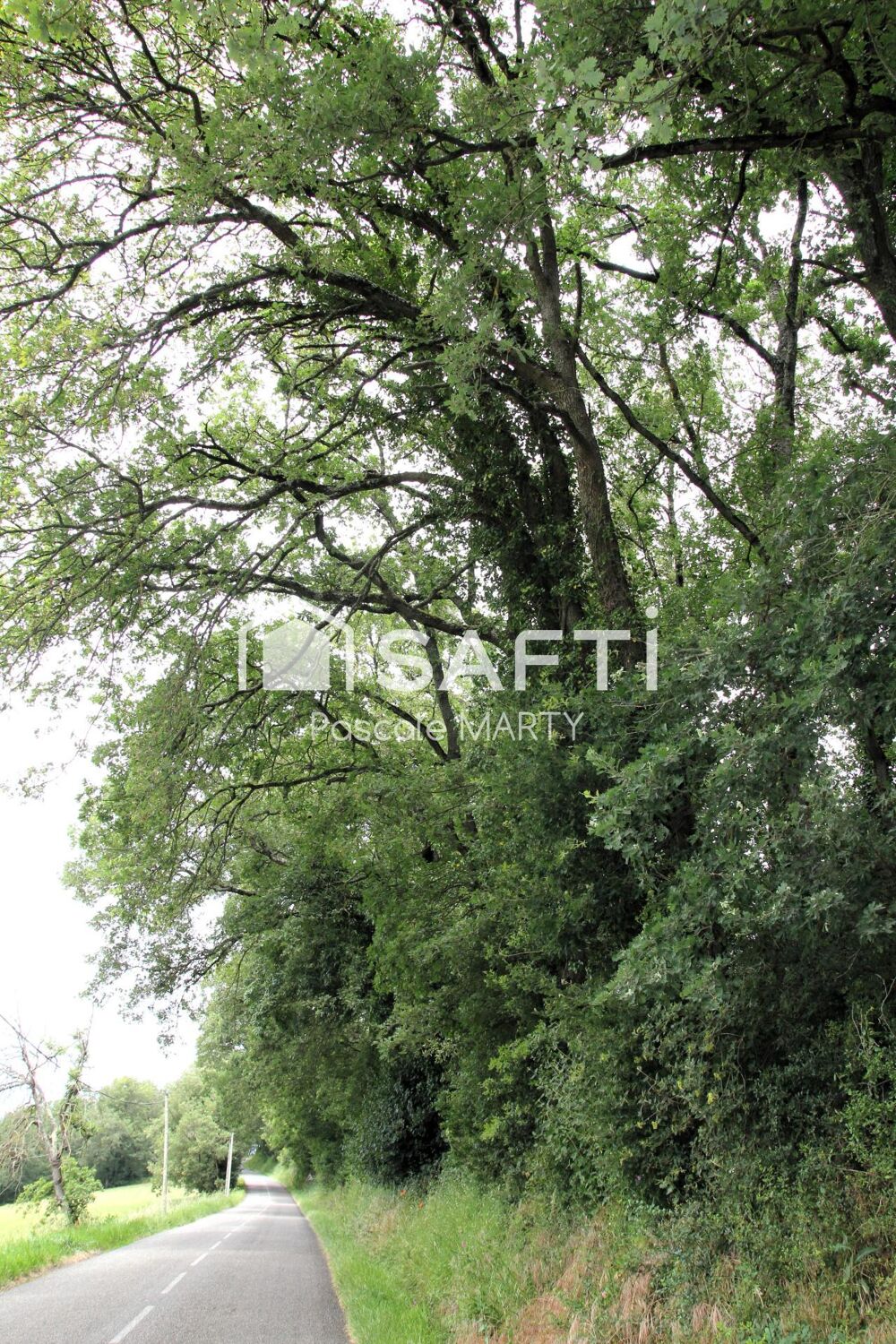 Vente Terrain Ambiance nature avec ce terrain hors lotissement Montjoire