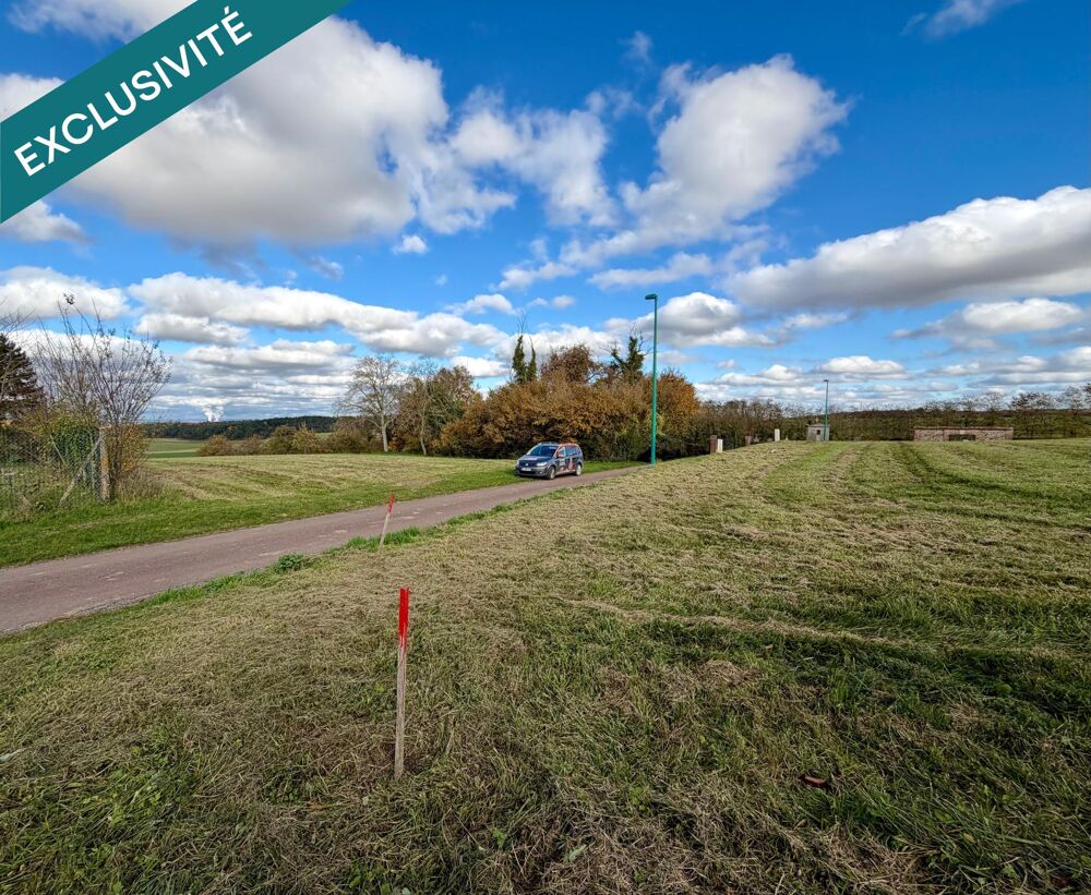 Vente Terrain Terrain de 800 m2 constructible, viabilisé en EDF Thorigny-sur-oreuse
