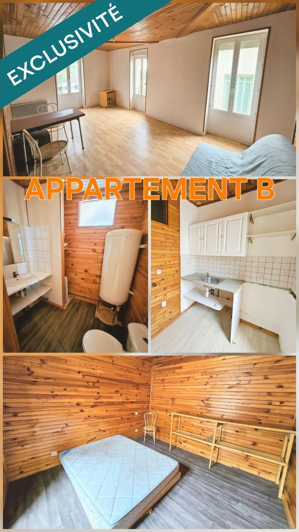 Vente Immeuble IMMEUBLE CENTRE VILLE AVEC 5 APPERTEMENTS Castelnau d'auzan labarrere