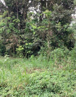  Terrain � vendre 5000 m�