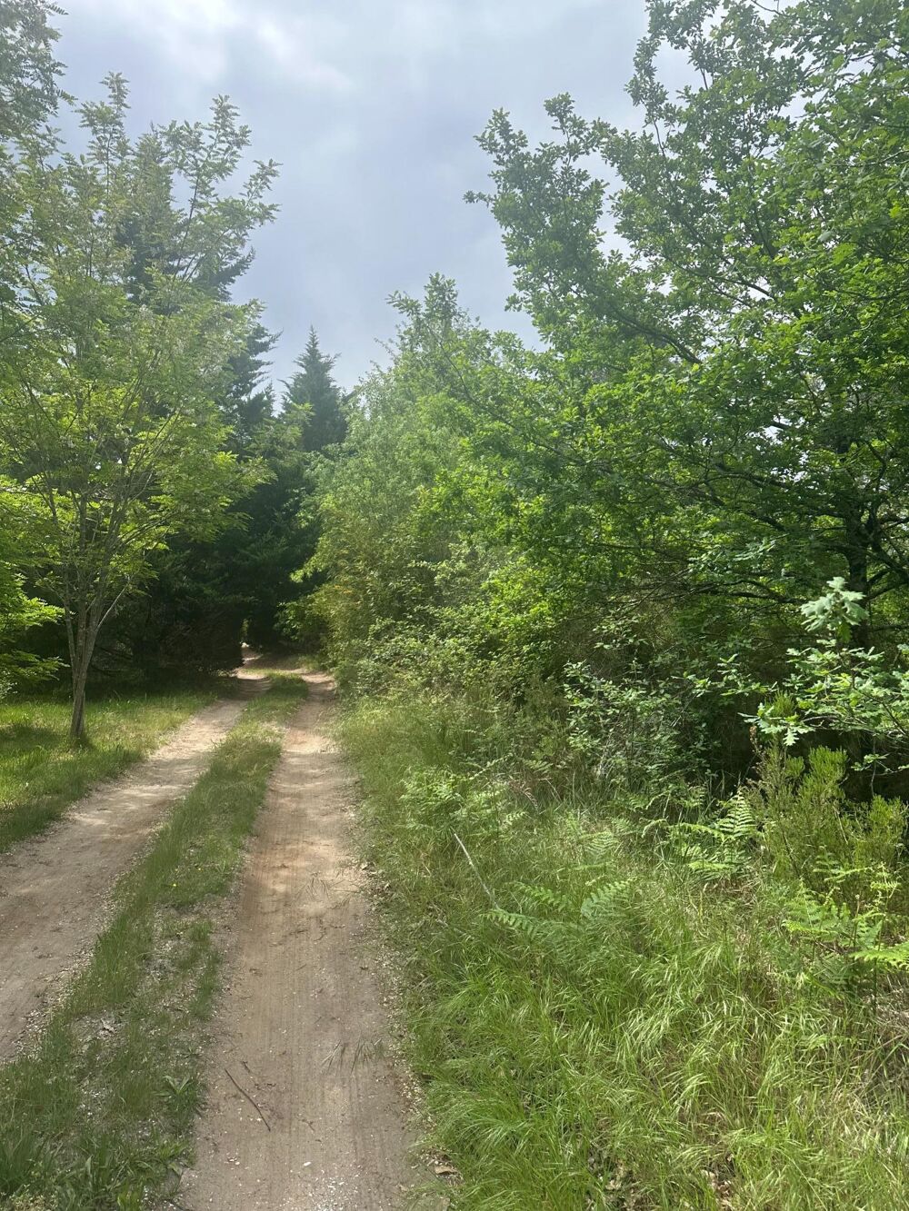 Vente Terrain Terrain agricole de 3 ha au calme à Gujan-Mestras Gujan-mestras