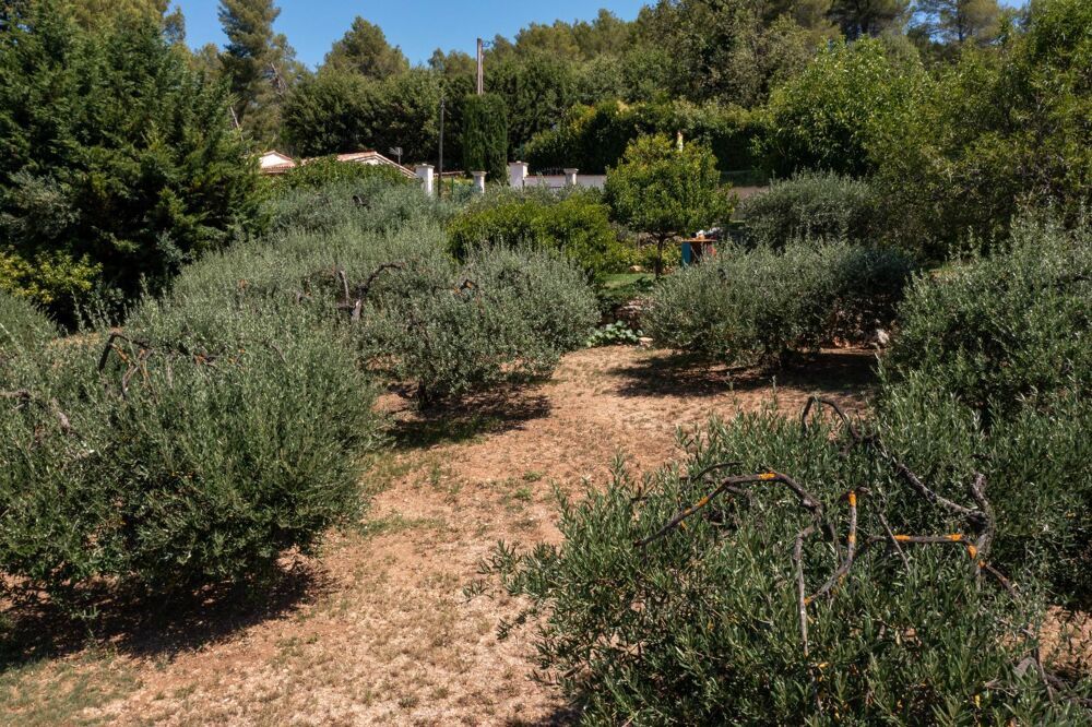 � vendre  Maison Draguignan (83300)