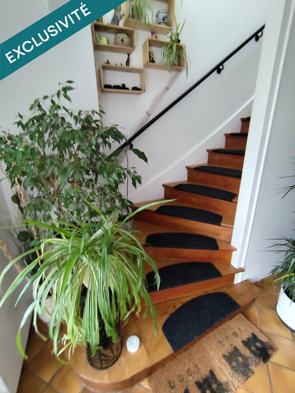 Vente Maison BELLE MAISON AU CALME AVEC GRAND JARDIN ARBORE (arbres fruitiers) Dieulouard