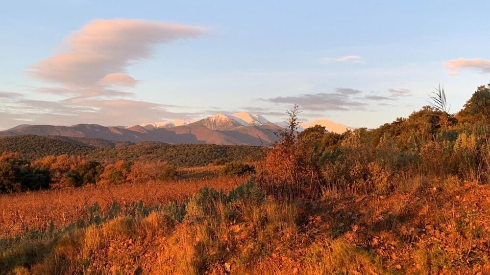 Vente Terrain Domaine agricole d'exception au cœur des Aspres Oms