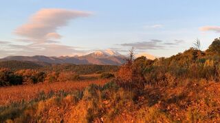  Terrain à vendre 79000 m²