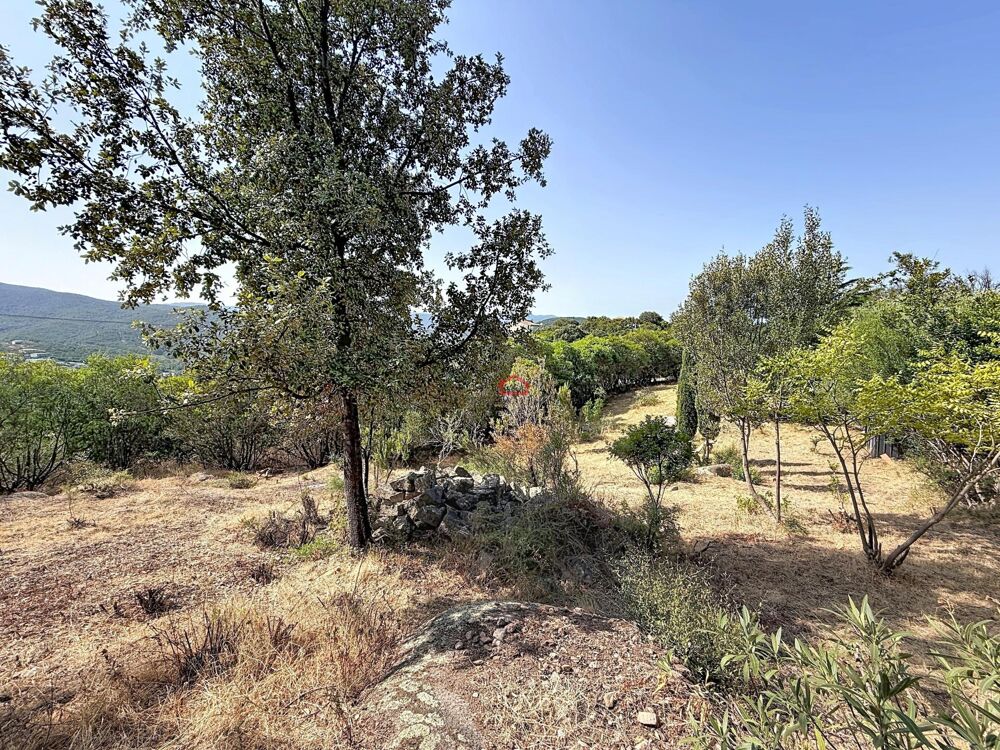 Vente Terrain Terrain AGOSTA-MOLINI avec 2 permis Albitreccia