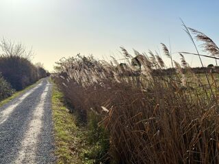  Terrain � vendre 375 m�