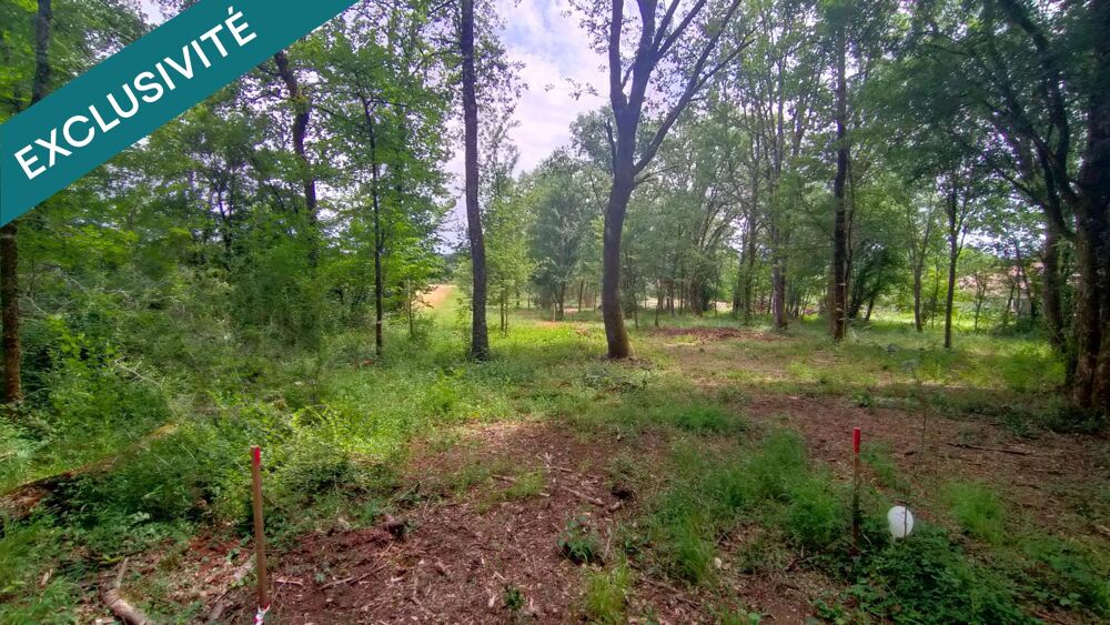 Vente Terrain Belle parcelle constructible et boisée Caillac