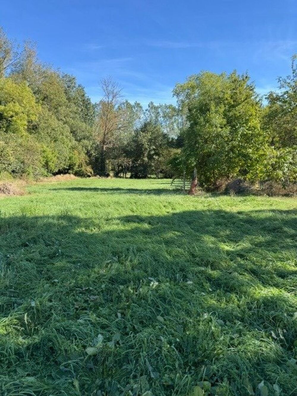 Vente Maison Belle longère à rénover intégralement sur terrain de 3476m² Massognes