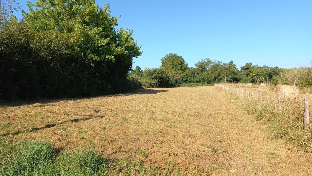 Vente Terrain Terrain constructible Eyrans