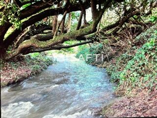  Maison � vendre 15 + pi�ces 525 m�