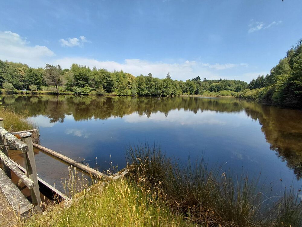 Vente Terrain Vaste Etang d'environ 2 ha avec bois Pensol