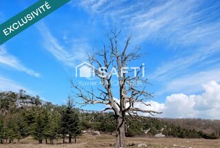  Terrain à vendre 7875 m²