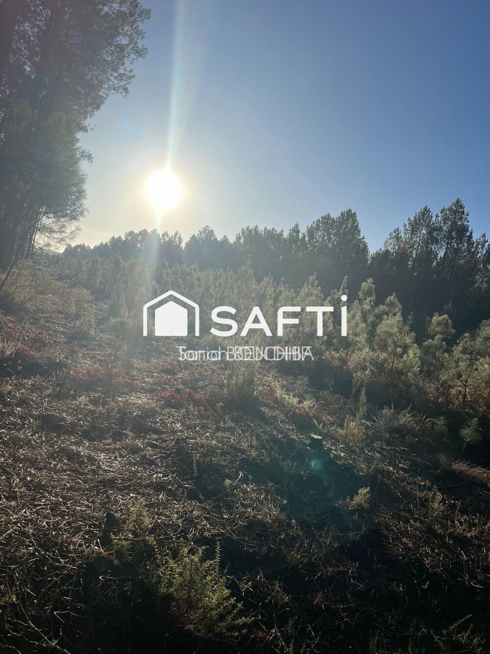 Vente Terrain Terrain forestier Saint-leger-de-balson
