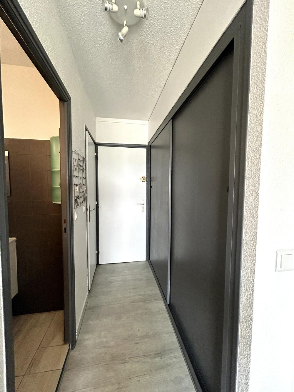 Vente Appartement APPARTEMENT T1 VUE SUR L'ÉTANG ET LE CANIGOU Le barcares