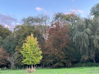  Immeuble � vendre 700 m�