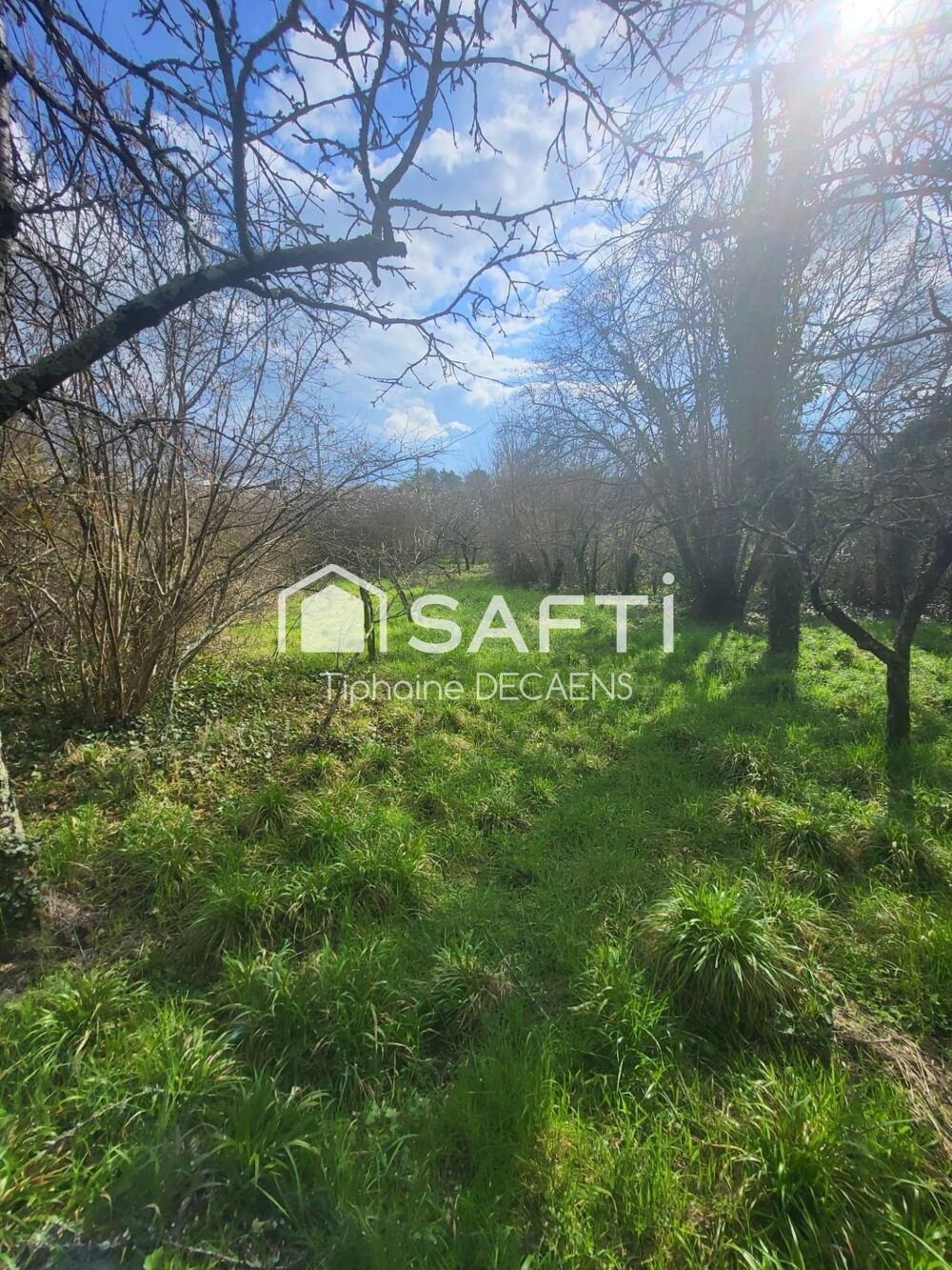 Vente Terrain Terrain constructible de 1800m2 avec cave troglodyte Neuil