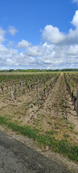  Terrain à vendre 65000 m²