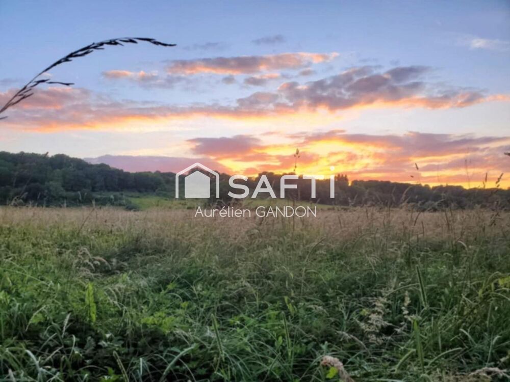 Vente Maison Maison avec 25HA de terrain et 40 box à chevaux Saint-denis-sur-ouanne