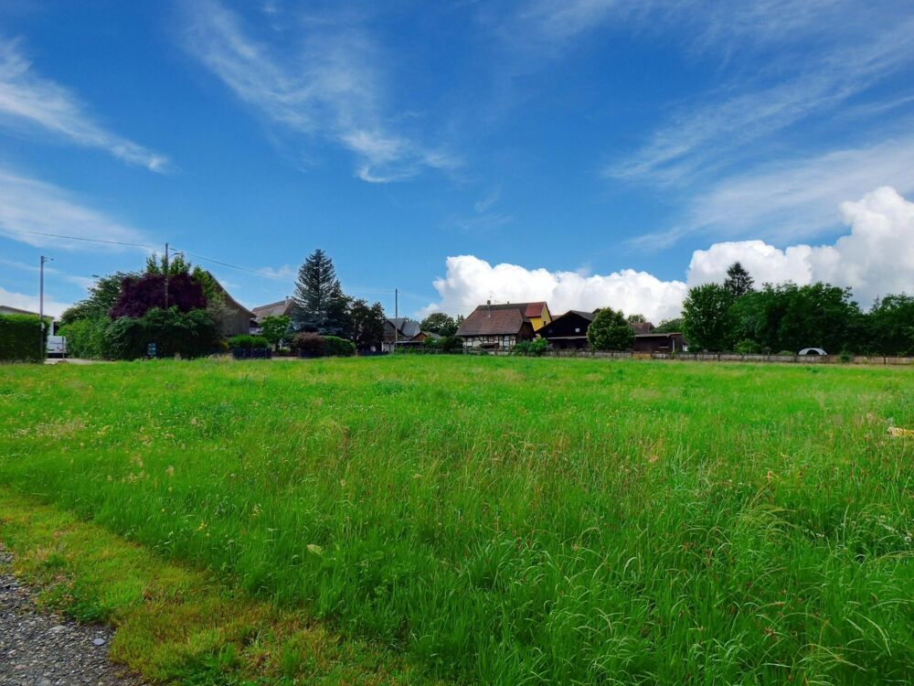 Vente Terrain Terrain plat, au calme Traubach-le-bas