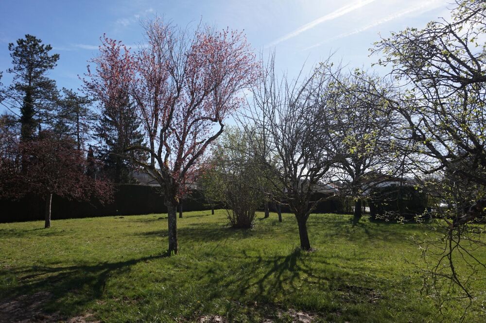 Vente Terrain Terrain Plat, arboré et clôturé de 1050 m² (possibilié de diviser en deux parcelles déjà bornées). Montferrand-le-chateau